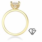 HAILEY LUX 1.106 CT  thumbnail