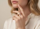 GEMINI thumbnail