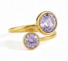 GEMINI thumbnail